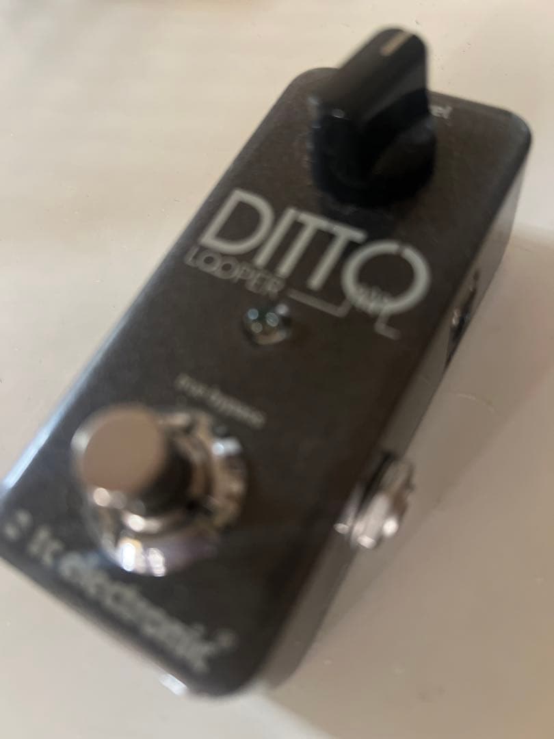 tc electronic DITTO LOOPER ルーパー　エフェクター