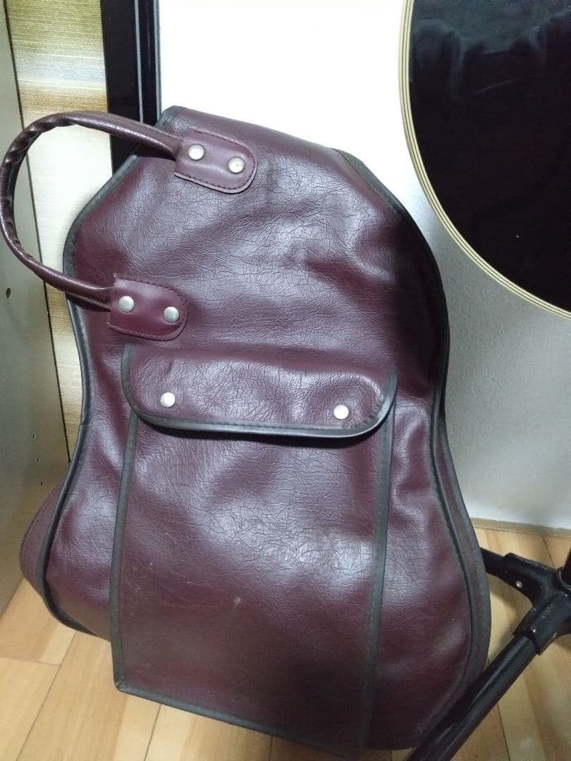 Photogenic フォトジェニック レスポール カスタム