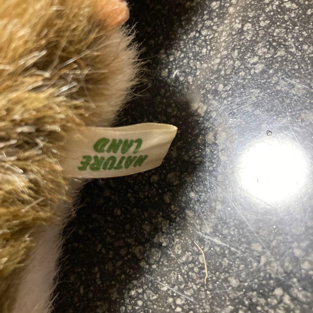 ALFA社NATURE LAND ムササビのぬいぐるみセット