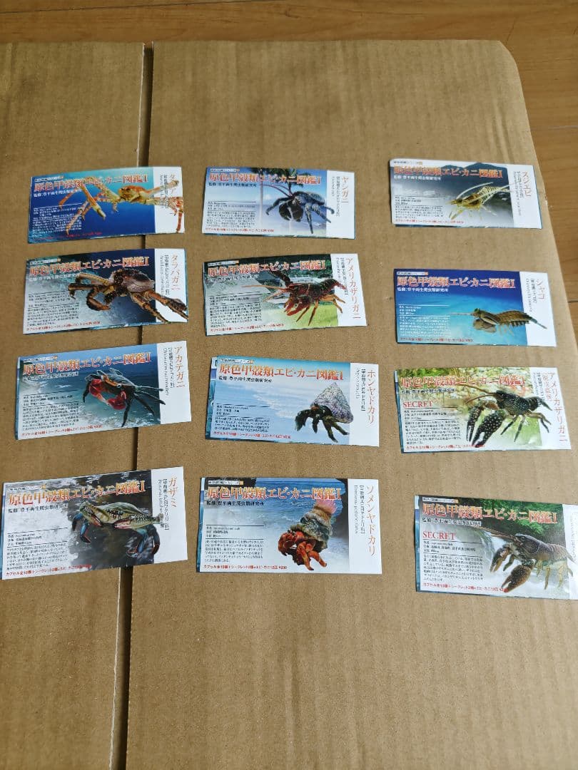 原色甲殻類エビ・カニ図鑑I　コンプリート専用ケース、ミニブック付き