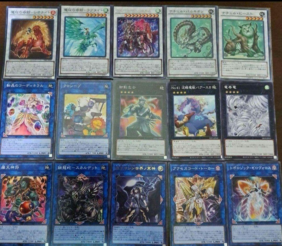 【大会仕様構築】遊戯王　構築済みデッキ 58枚　春化精 アダマシア　本格ガチ