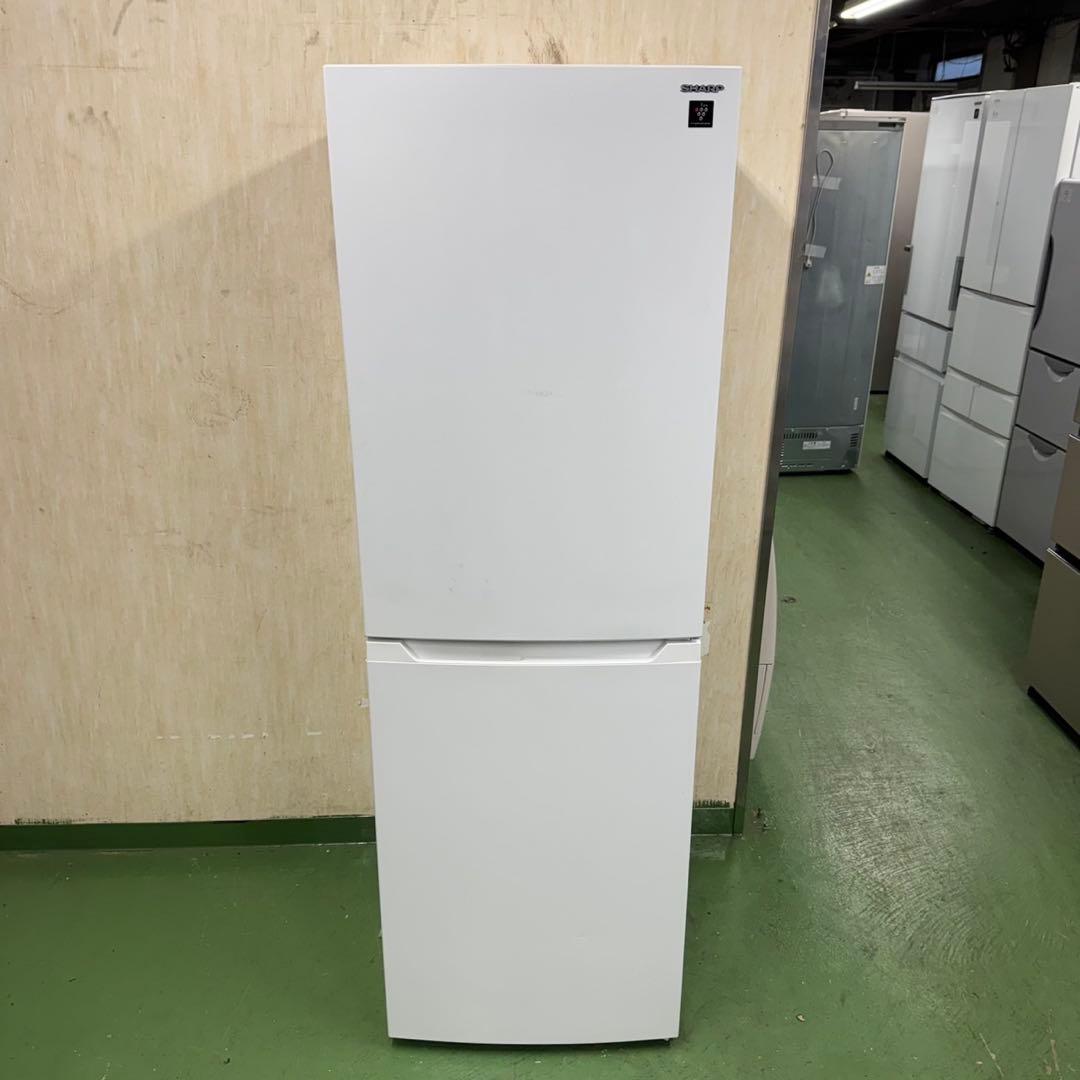 198 冷蔵庫　大型　中型　200L〜300L 右開き　極美品　最新モデル　格安