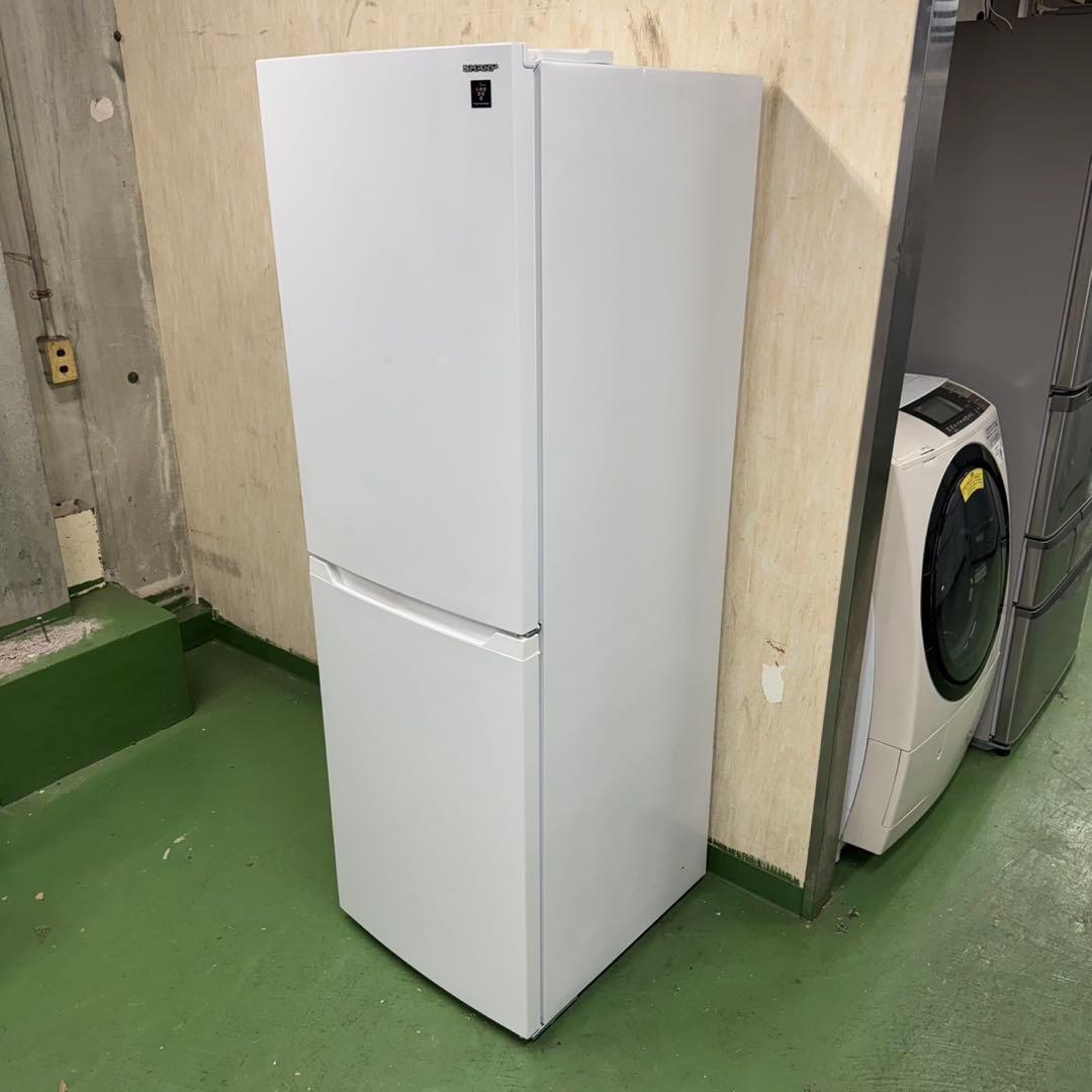 198 冷蔵庫　大型　中型　200L〜300L 右開き　極美品　最新モデル　格安