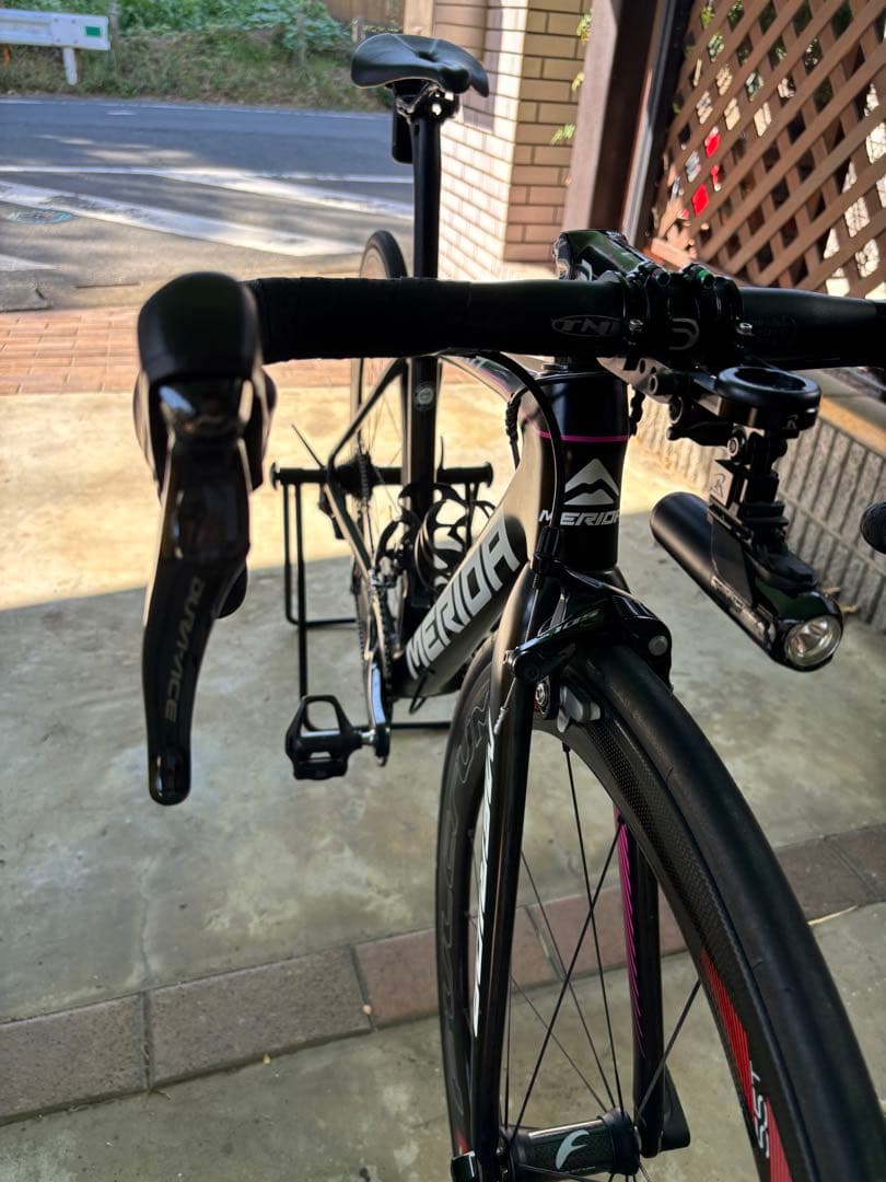 メリダ スクルトゥーラ チーム