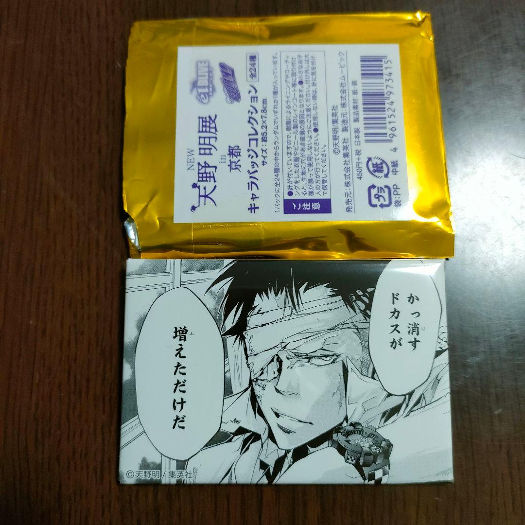 家庭教師ヒットマン 天野明展 缶バッジ ザンザス XANXUS