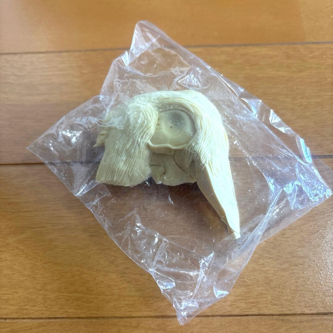 【VOLKS】FSS 「マンティコア」　1/100 ガレージキット