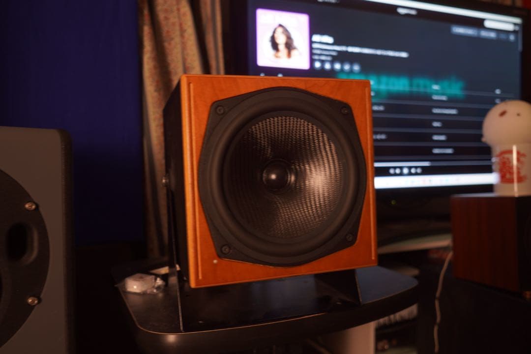 KS Digital c5 coax ペア　同軸モニタースピーカー