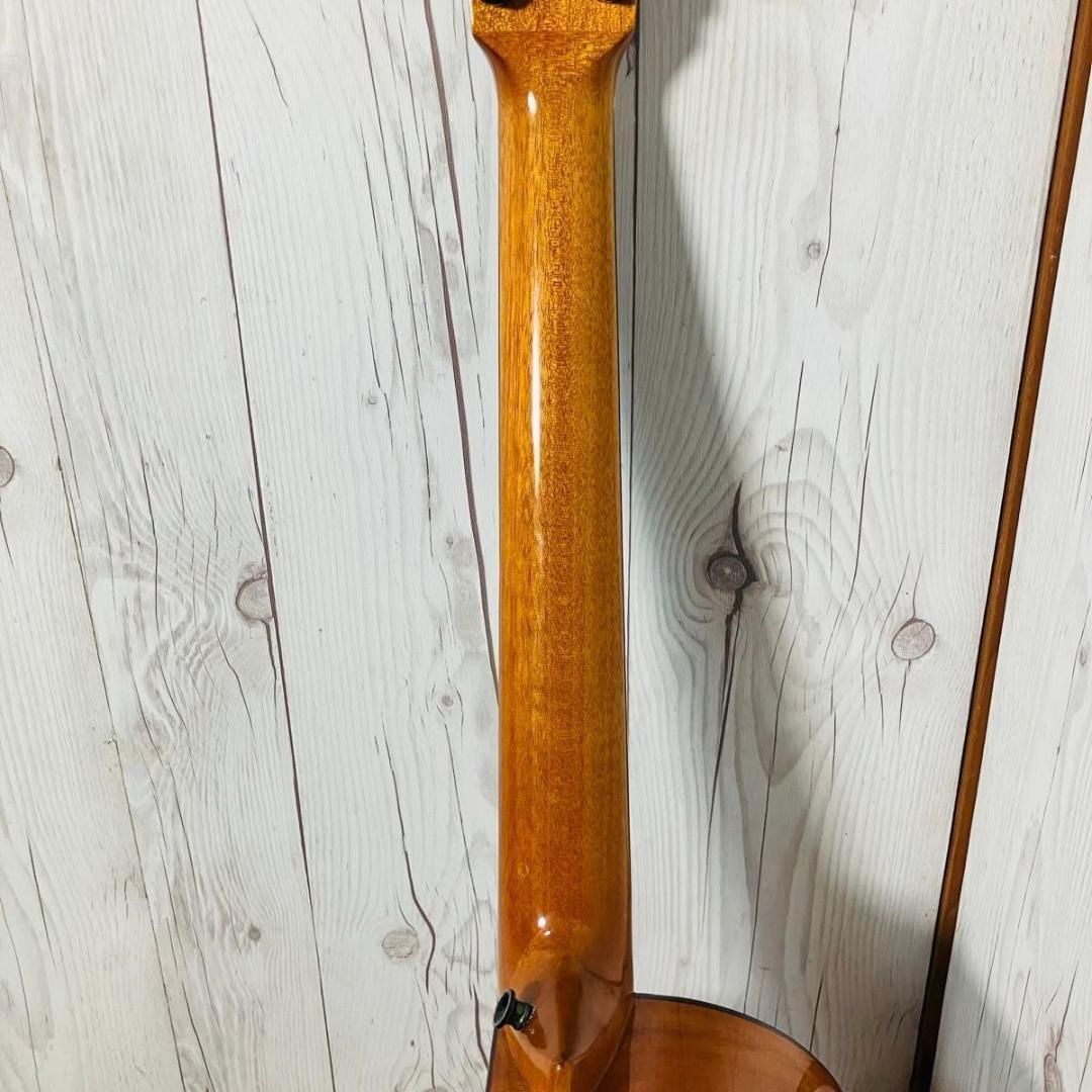 【希少 美品】aNueNue Bird M12 ソフトケース付き アヌエヌエ