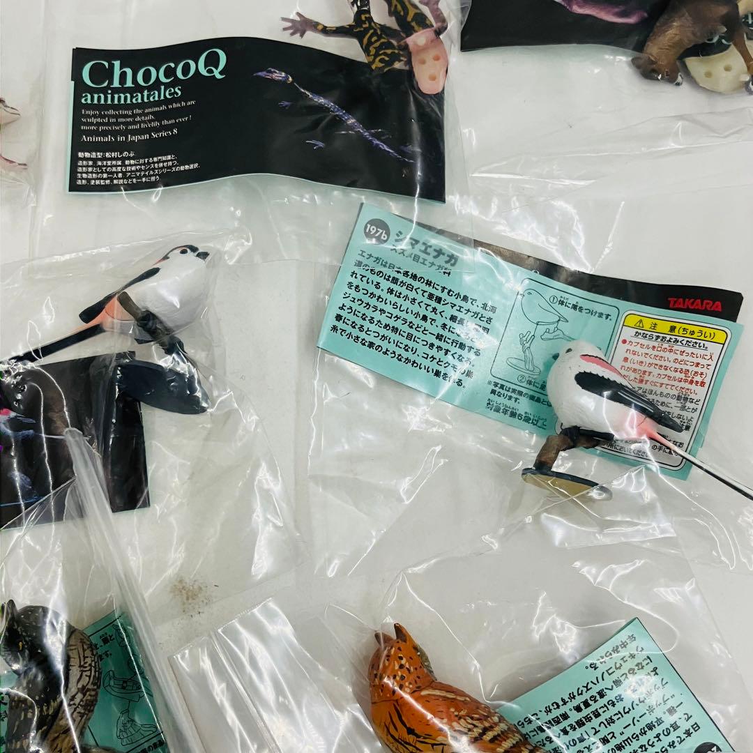 「チョコQ 日本の動物 第8弾」 フィギュア 21種セット
