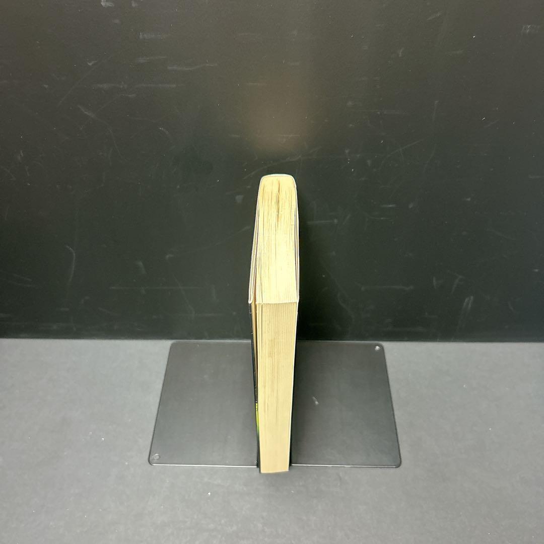 初版 絶版 sinker 沈むもの 平山夢明 シンカー 希少 ホラー小説