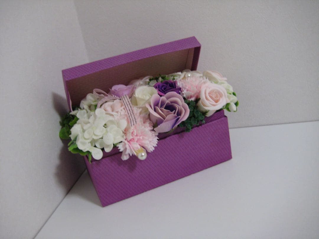 デジタルカメラ Canon ixy digital 10