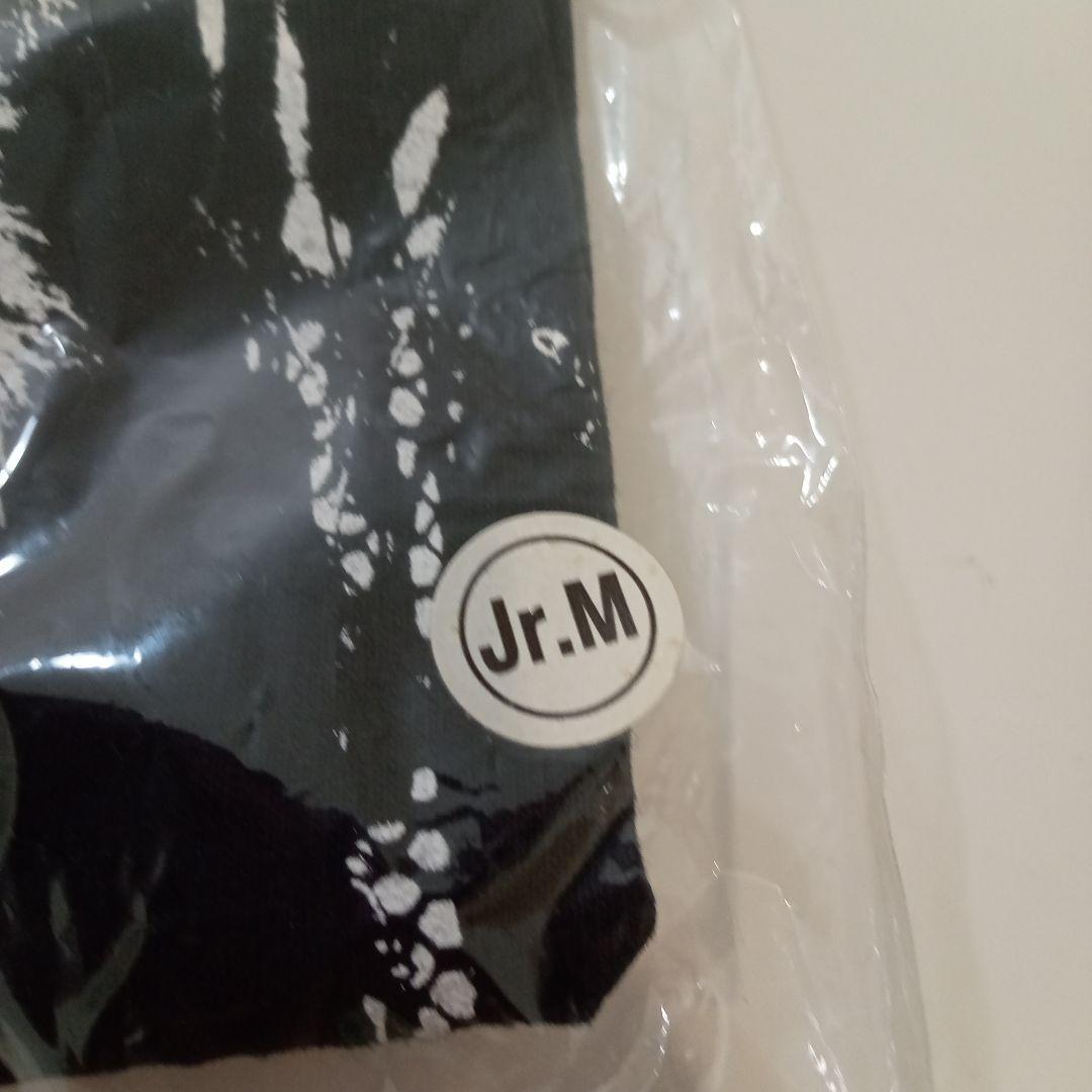 SADS THE ROSE GAVE ME Tシャツ M ☆新品未開封☆　清春