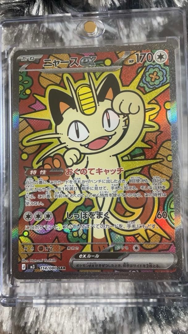 ニャース sar ホロかけあり