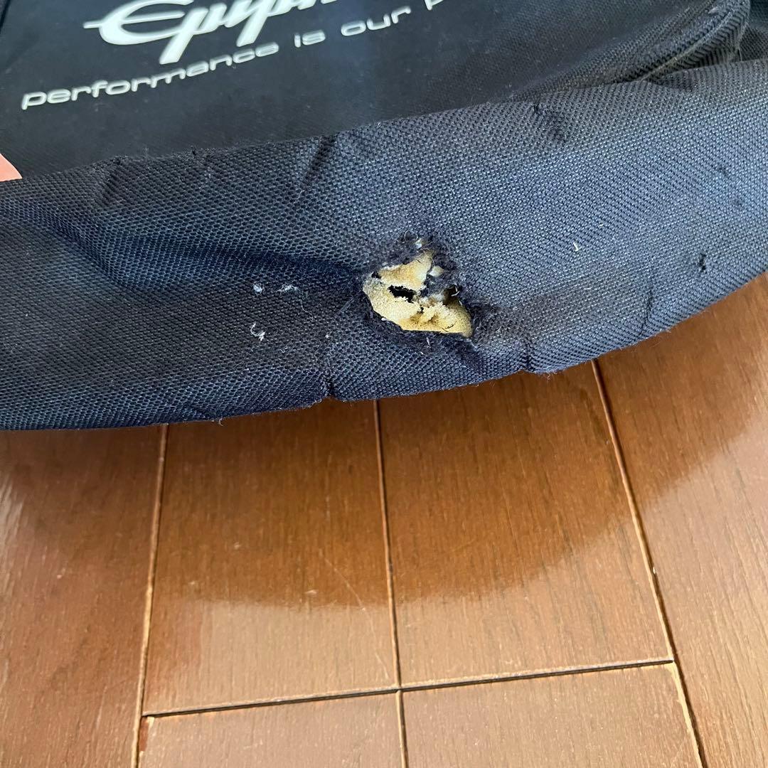 Les Paul Special Ⅱ Epiphone by Gibson