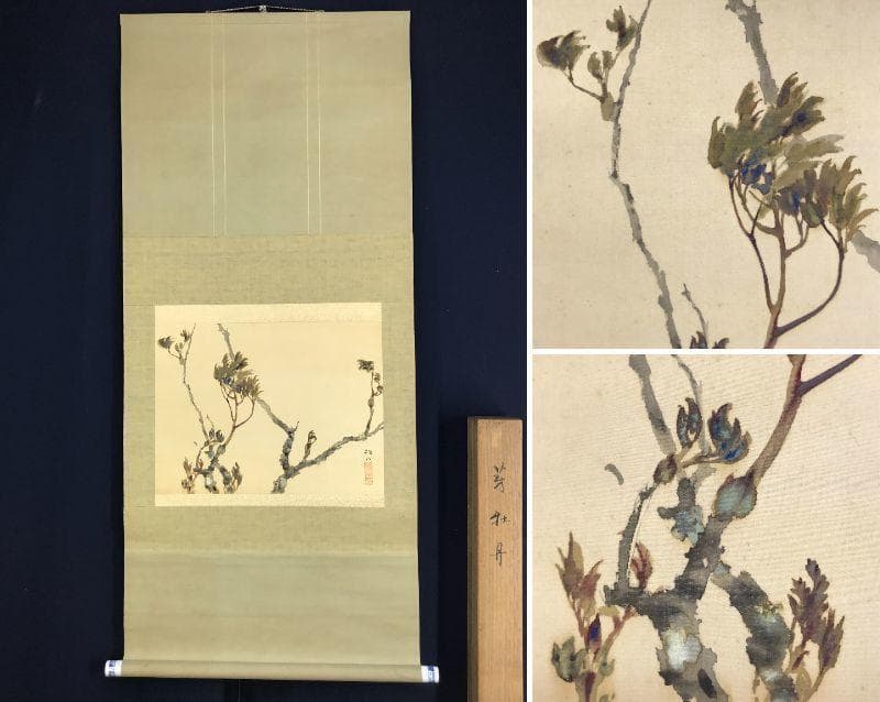 【真作】藤井松山/芽牡丹図/牡丹図/花図/横物/掛軸☆宝船☆AD-454