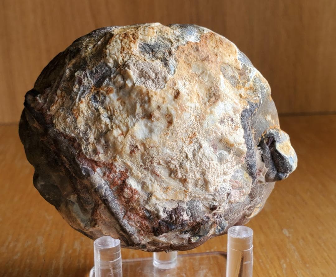 【コレクターズアイテム】サンダーエッグ ペア