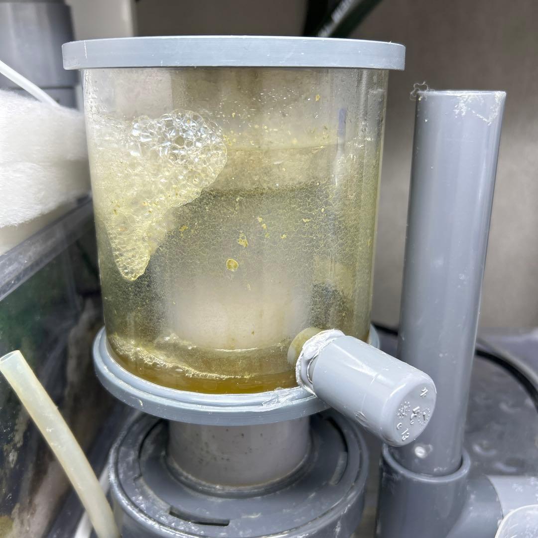 H&S プロテインスキマー UP 2000/A