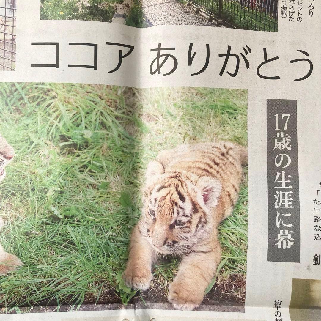 ★釧路市動物園　ココアちゃん