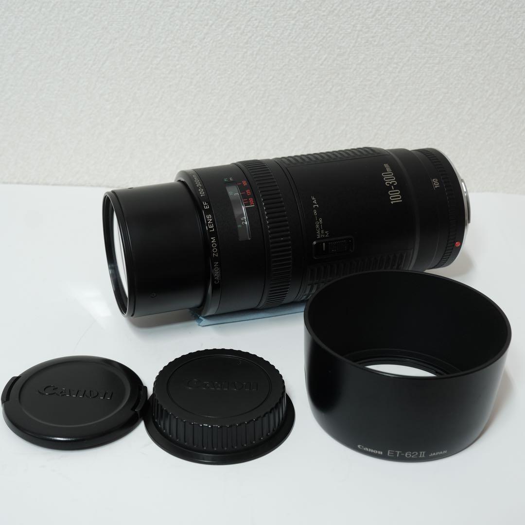Canon EF 100-300mm F5.6 レンズ
