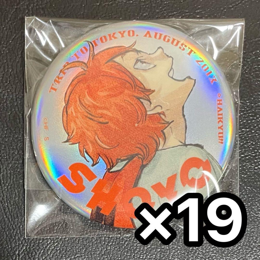 ハイキュー‼︎ 応募者全員サービス 日向翔陽 缶バッジ 19点