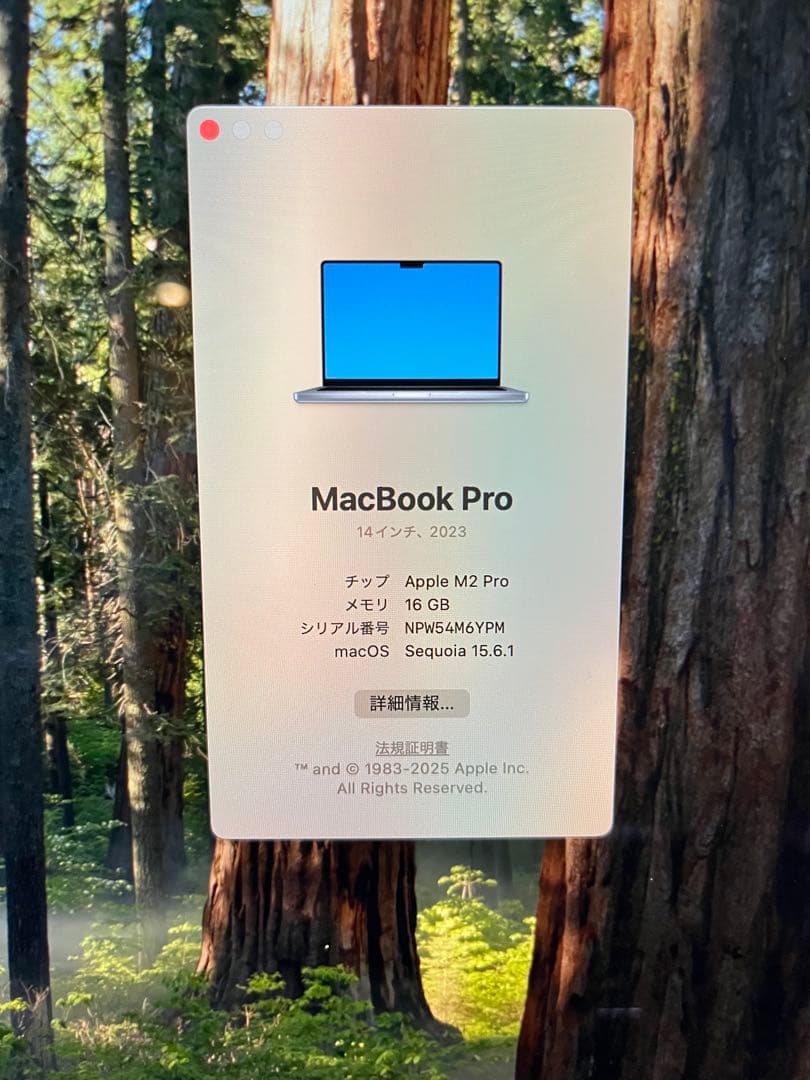 MacBook Pro M2 Pro 14インチ 2023 500GB/16GB