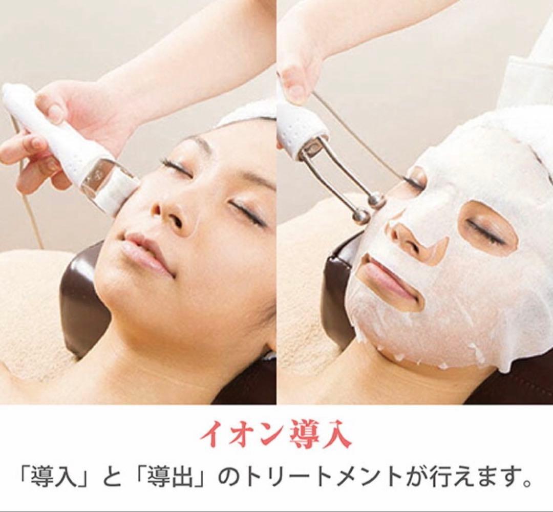 5 in 1 美顔器・美容器 ソニア複合機