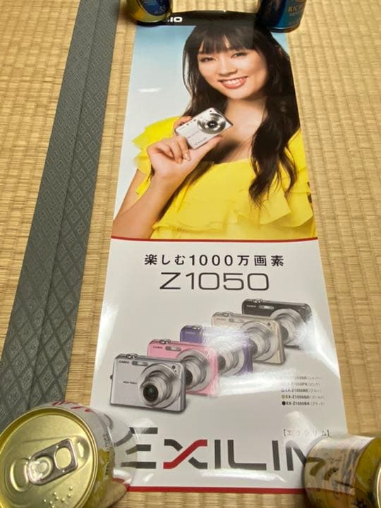 水川あさみ　CASIO EXILIM（エクシリム）ポスター5枚セット