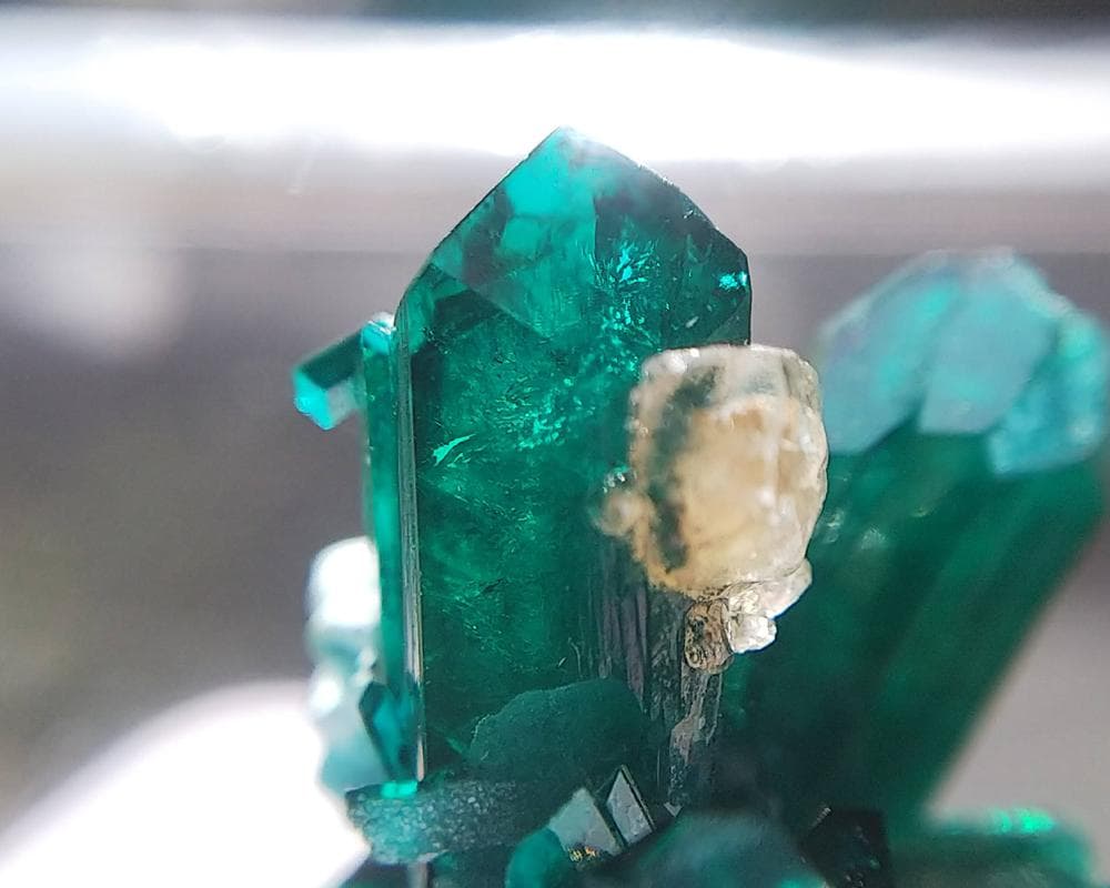 482 ダイオプテーズ 翠銅鉱 クラスター コンゴ産