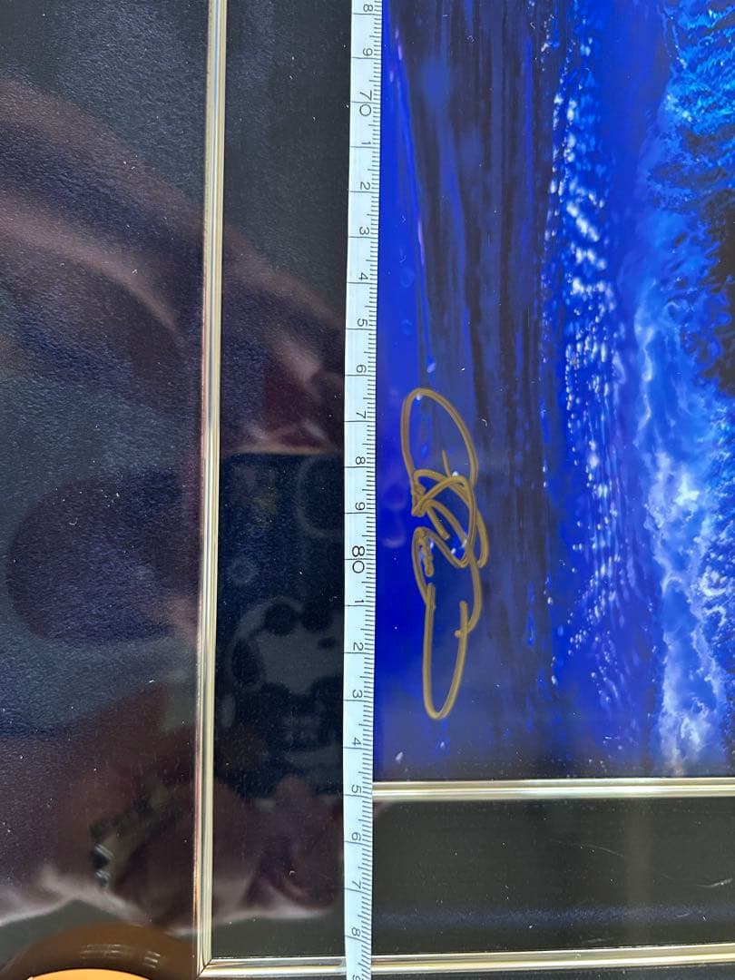 マジェスティックサーガ(L) 限定版 46/300