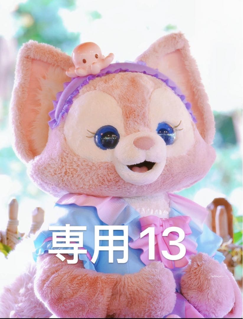 専用13