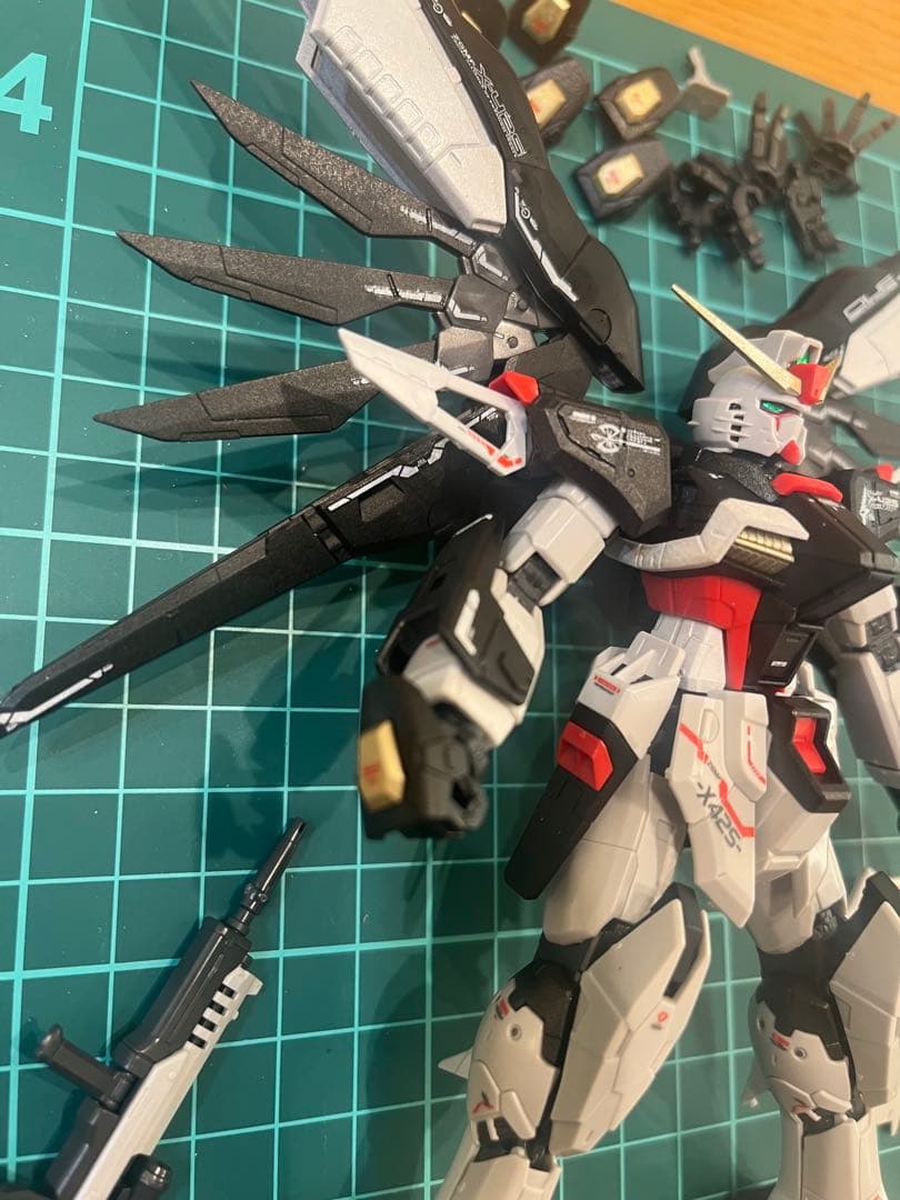 RG デスティニーガンダム全塗装完成品