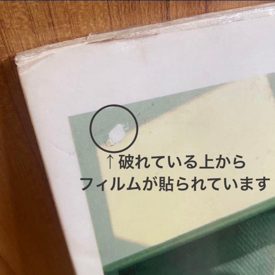 チバユウスケ パネル 激レア 佐内正史 ミッシェルガンエレファント バースデイ