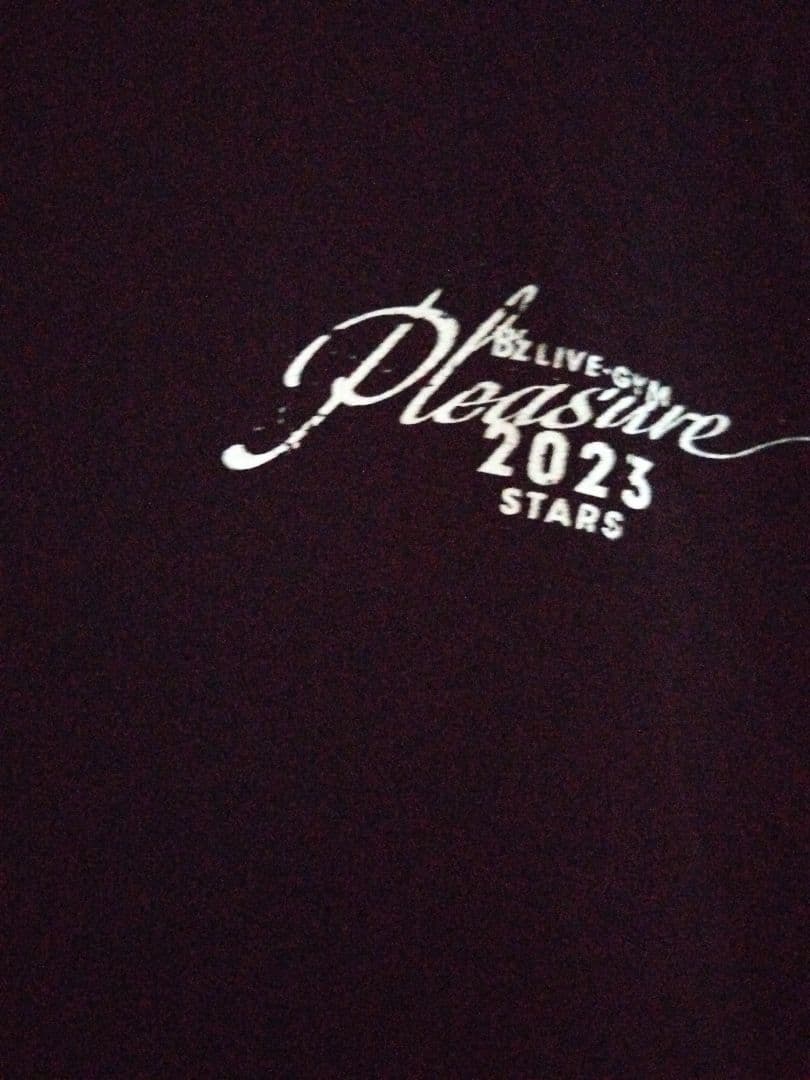 B'z　Pleasure 2023 XL rock and roll　パーカー