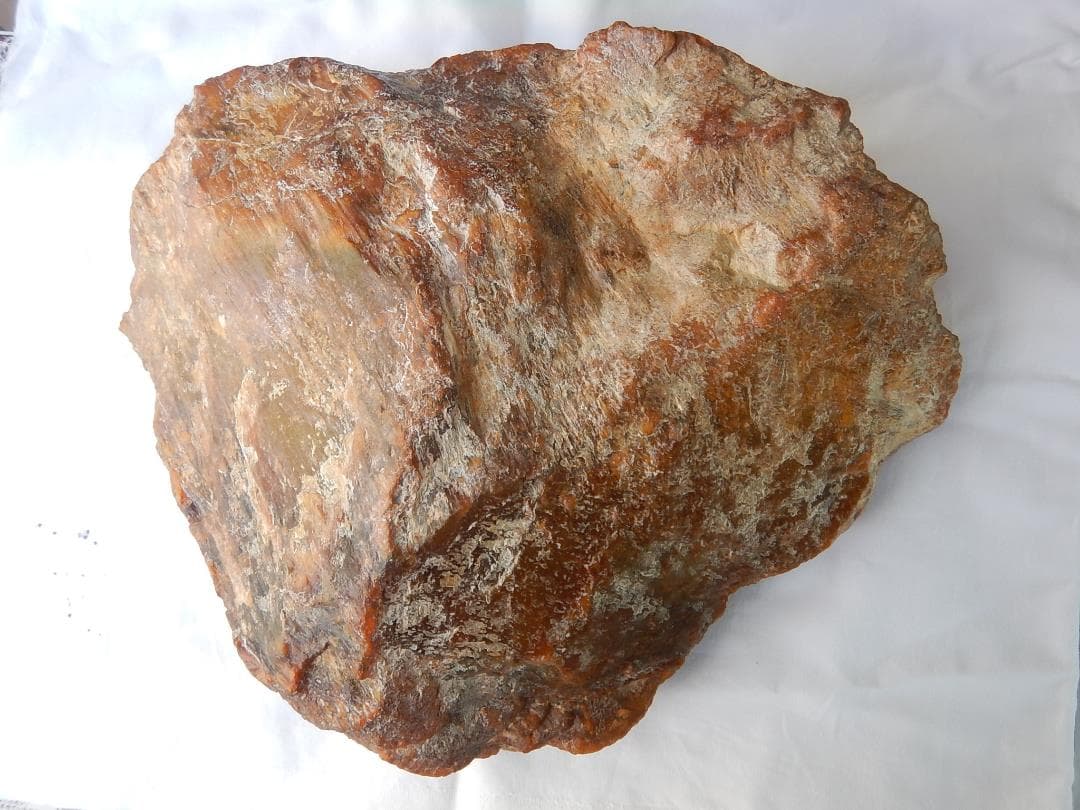 瑪瑙出目金と籠彫物