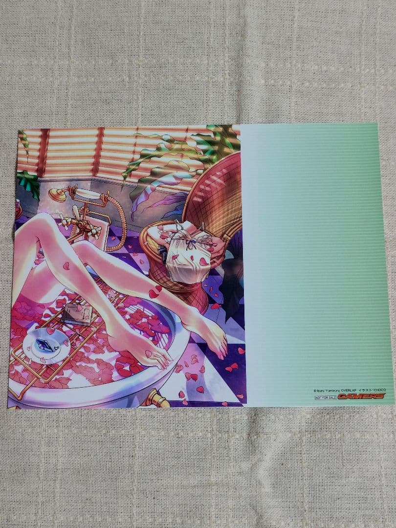 インフィニット・ストラトス　特典ブックカバー　8枚セット