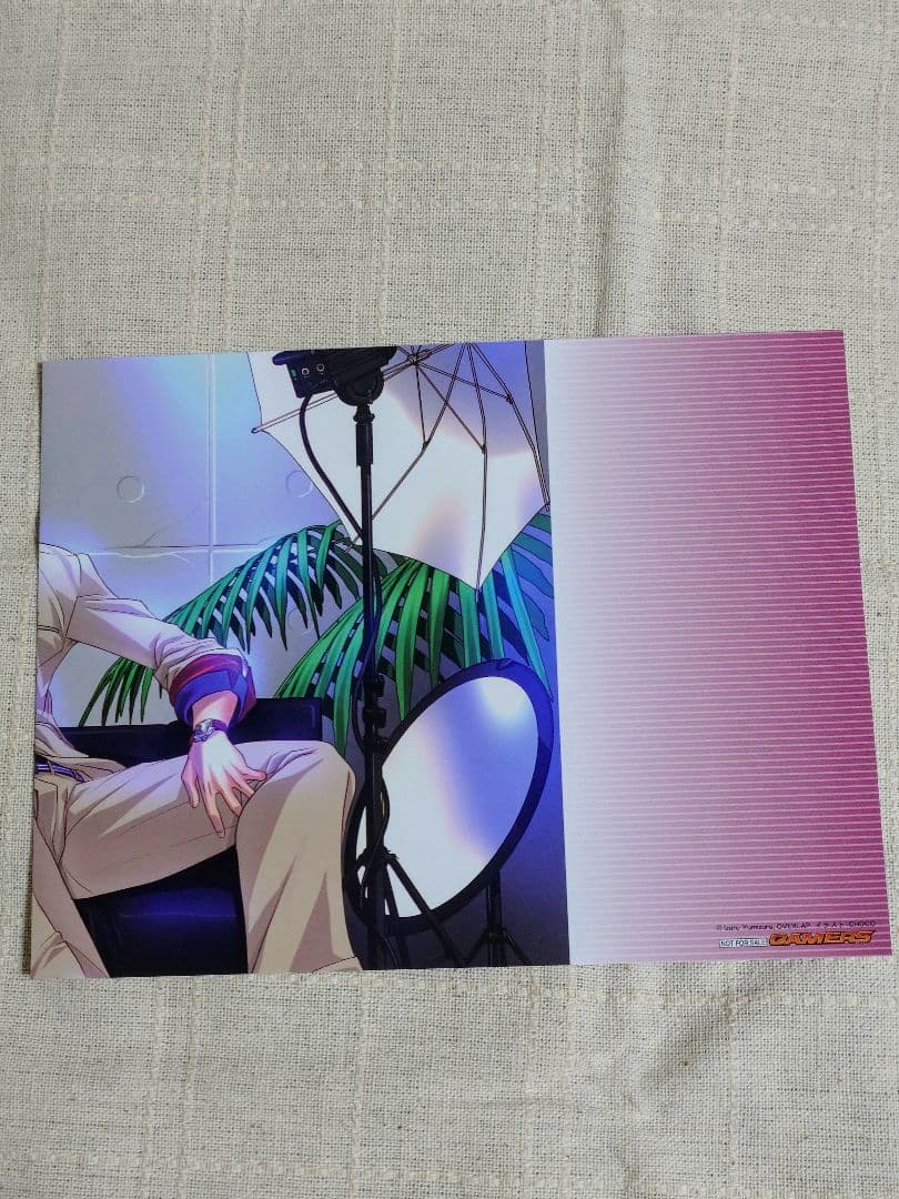 インフィニット・ストラトス　特典ブックカバー　8枚セット