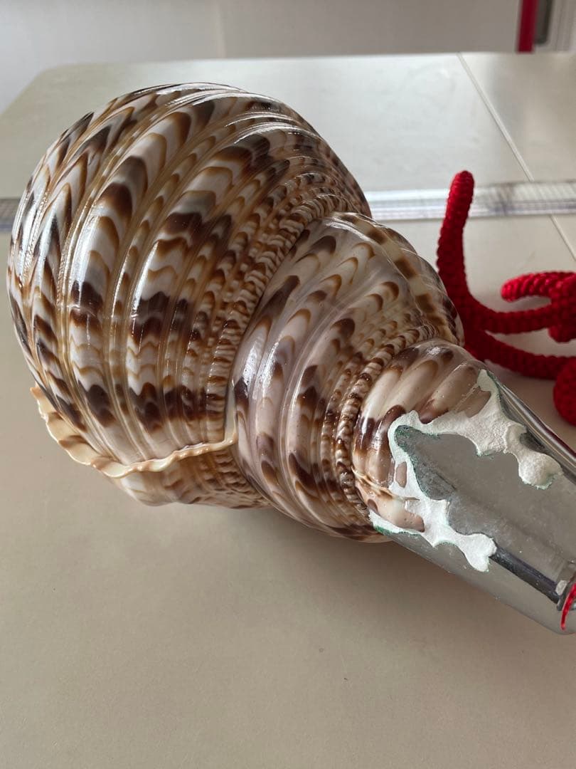 法螺貝　ホラガイ　赤紐