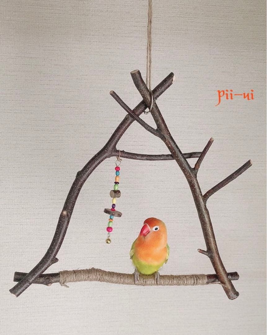 白樺小枝のブランコ♪