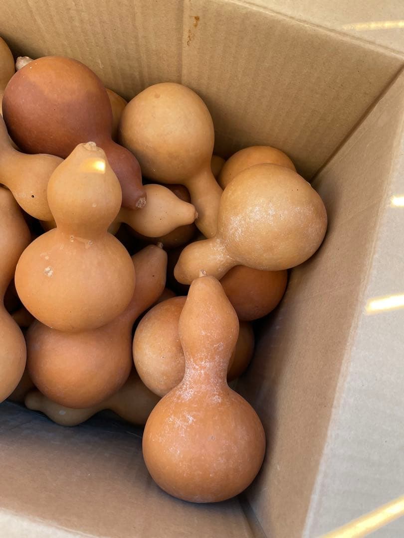 【40個】ひょうたん　瓢箪　千成瓢箪　まとめ売り　無病息災　置物　縁起物(B)