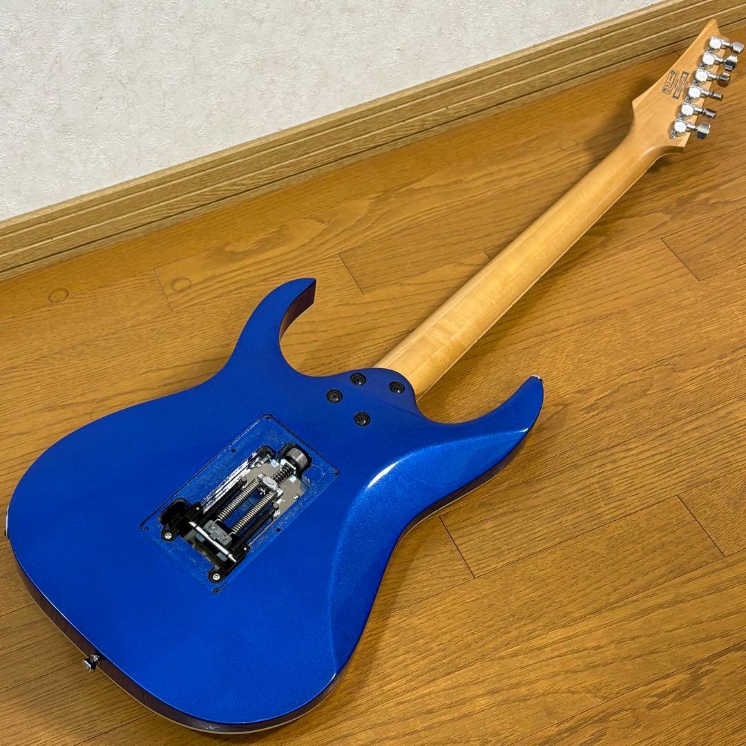 アイバニーズ　RG