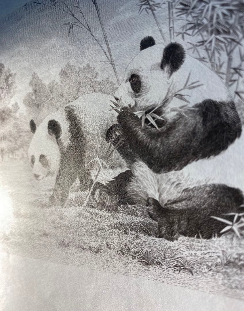 パンダ　造幣局　原稿用紙　本物保証　古札まとめ