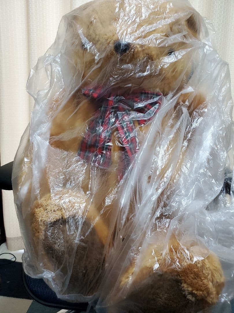 新品未使用レア、受注生産限定 純情ロマンチカ 鈴木さん、ほぼ等身大ぬいぐるみ