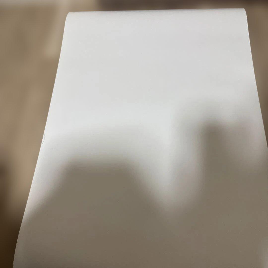 非売品❗️バテンカイトス2 ポスター