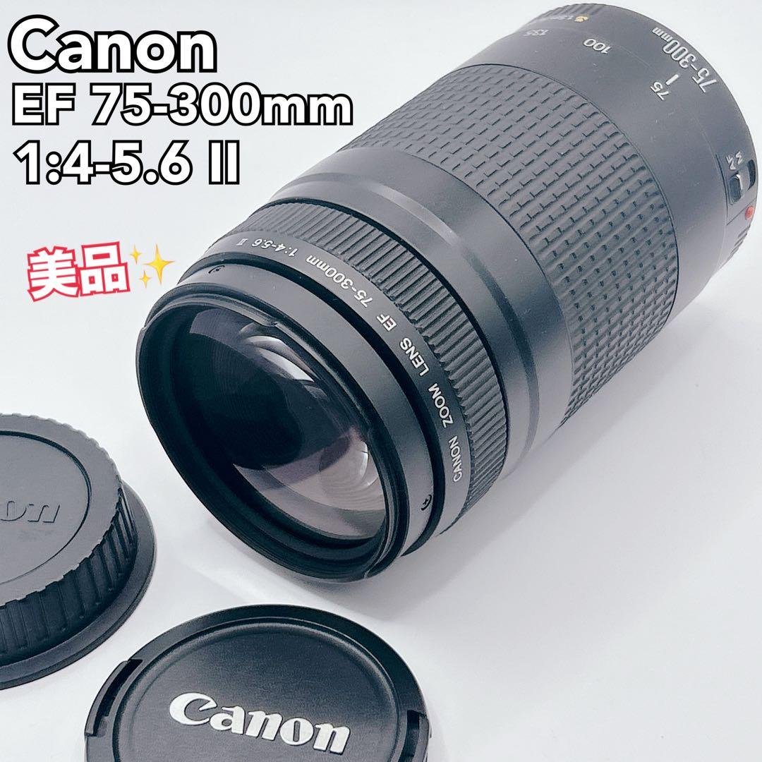 【美品】CANON 望遠レンズEF 75-300mm 1:4-5.6 Ⅱ