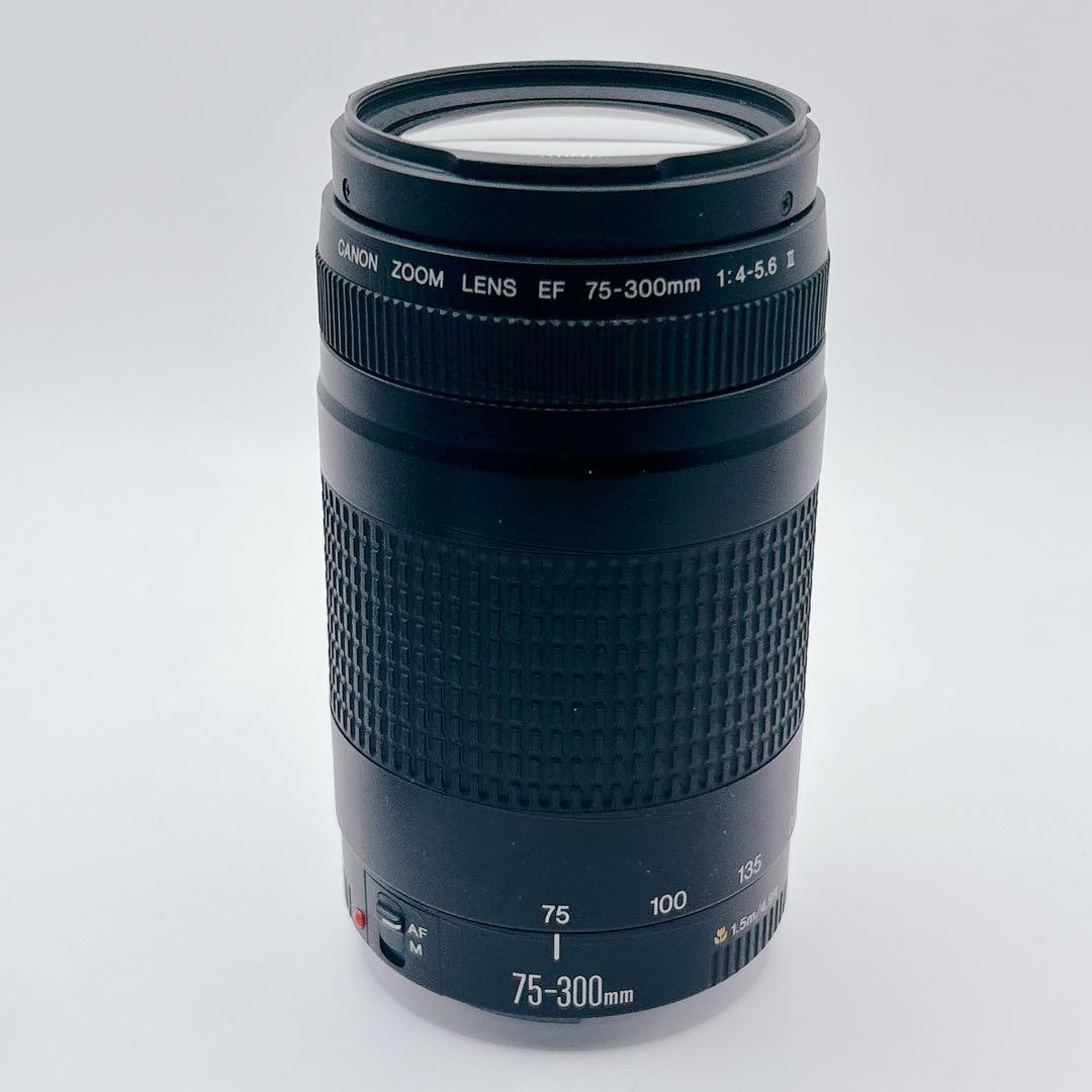 【美品】CANON 望遠レンズEF 75-300mm 1:4-5.6 Ⅱ