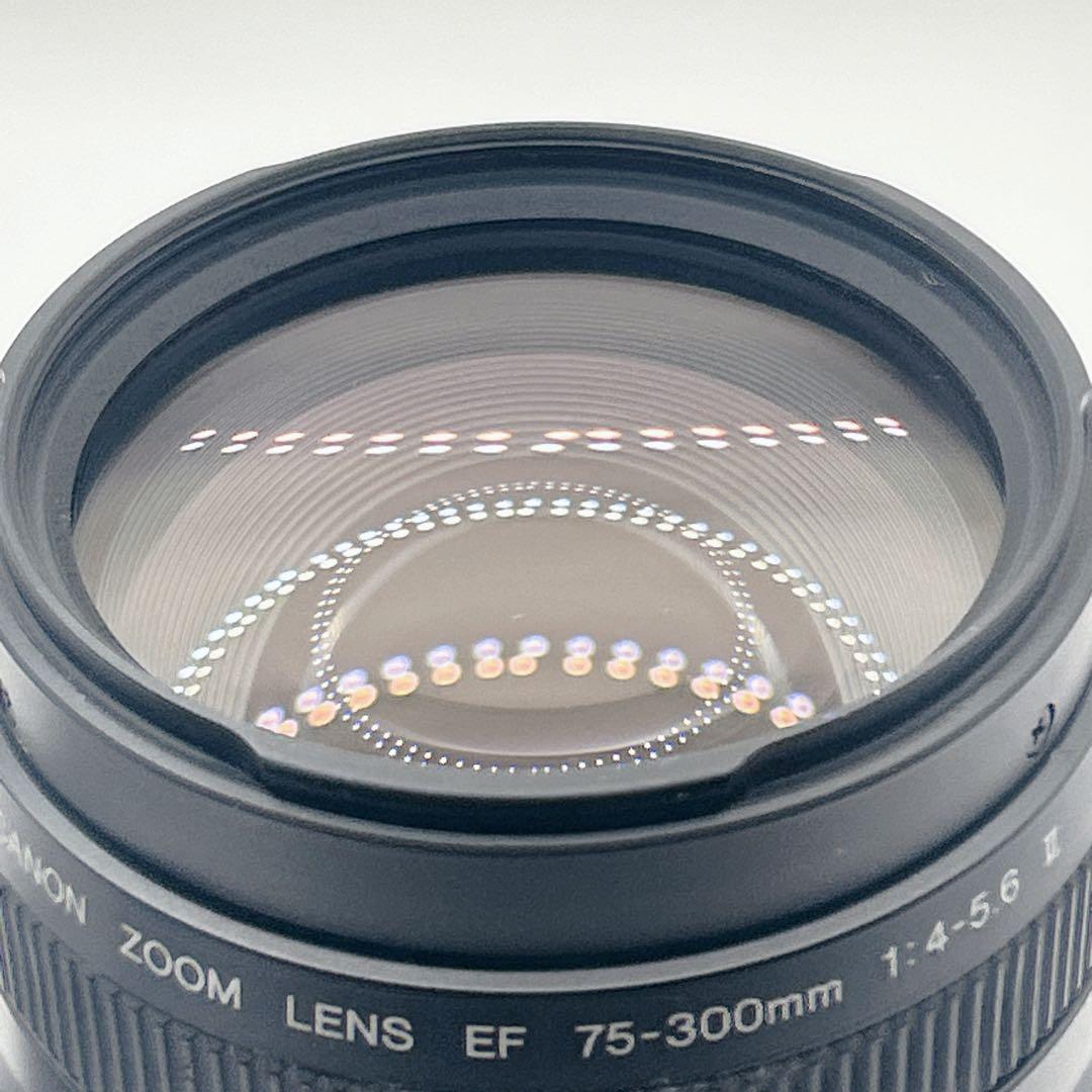【美品】CANON 望遠レンズEF 75-300mm 1:4-5.6 Ⅱ