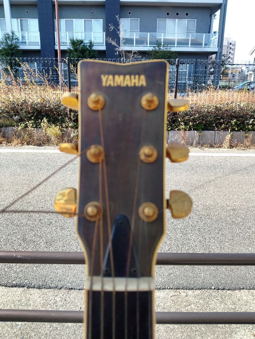 ヤマハ　L6　ギター　中古
