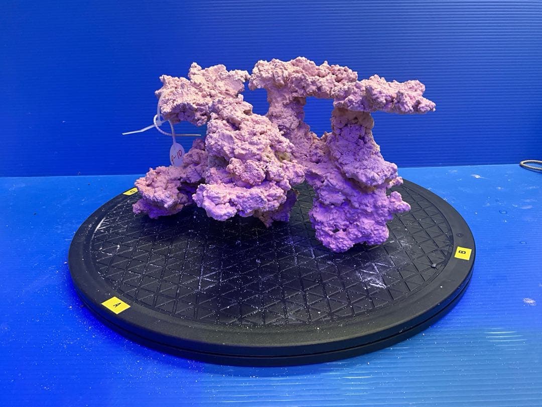 人工ライブロック　No.9-10 無害化処理済