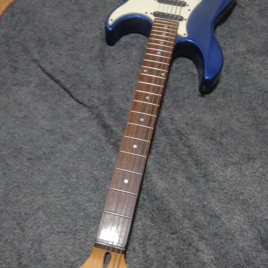 Chatting Bird by Caparison　エレキギター