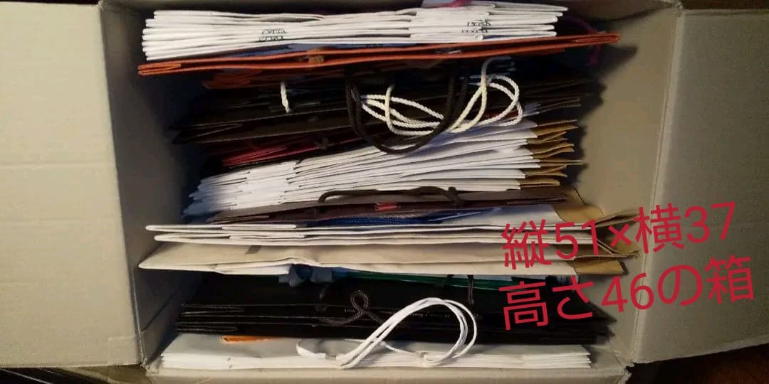 ブランド大きめショッパー　59枚